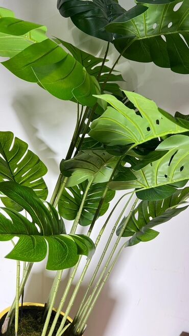 Süni güllər: Dekorativ süni ağaclar dəsti - Model 1: Varlıqlı yarpaqlı dekorativ — 5