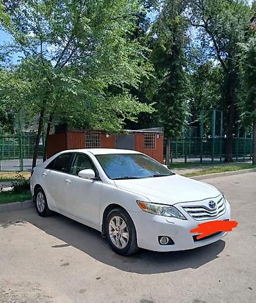 мтз 83 1: Toyota Camry: 2009 г. — 2