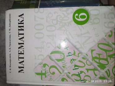 python книга: Здравствуйте книги 6 класса.
математика