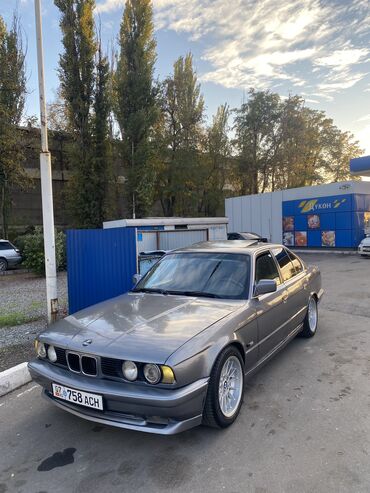 BMW: BMW 5 series: 1991 г., 2 л, Механика, Бензин, Седан