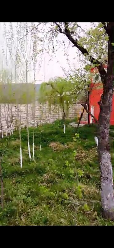 Günlük kirayə evlər: 90 kv. m, 3 otaqlı, Telefon, Qaz, İşıq — 25