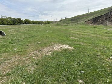 Продажа участков: 25 соток, Для бизнеса, Договор купли-продажи, Красная книга — 10