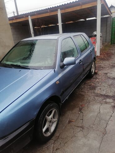 Volkswagen: Volkswagen Golf: 1992 г., 1.8 л, Механика, Бензин, Хэтчбэк