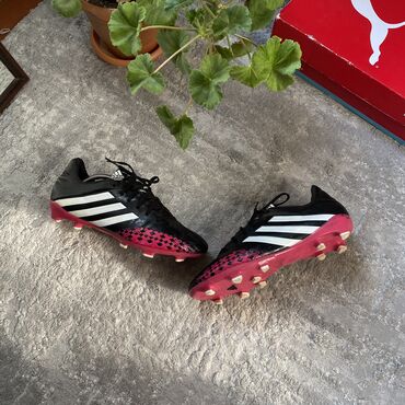 чай для похудении из египта на 100 оригинал: Adidas Predator Lethal Zones 42-43 razmer Yaxsi veziyetedir