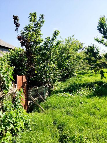 Həyət evləri və villaların satışı: 5 otaqlı, 24 kv. m, Kredit yoxdur, Orta təmir — 15