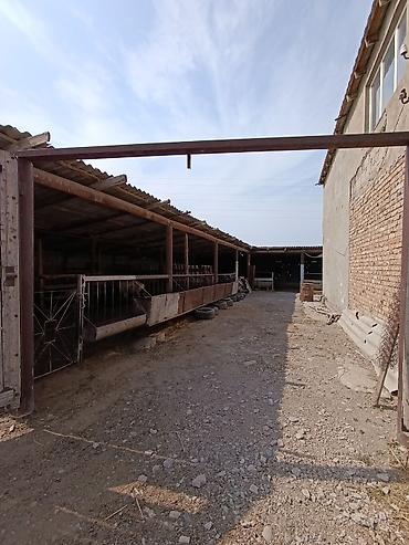 Продажа коттеджей и домов: Продается дом, 5 комнат, 49 СОТОК 📌В селе Беловодское продается — 14