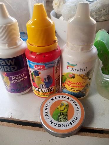 Tutuquşları: Korella əl quşu bala hazir cut kime hansi lazimdisa var sarilar 45-50 — 2