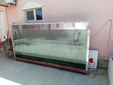 akvarium balıqları: Böyük ölçülü şüşə akvarium/su saxlama çəni - Material: qalın şüşə — 1