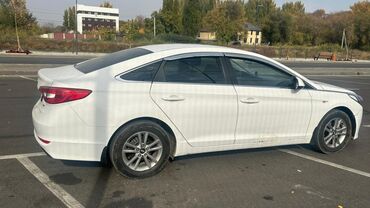 шины на киа к5: Hyundai Sonata: 2016 г., Седан