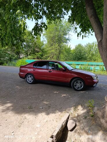 Nissan: Nissan Primera: 1999 г., 1.8 л, Механика, Бензин, Седан — 4