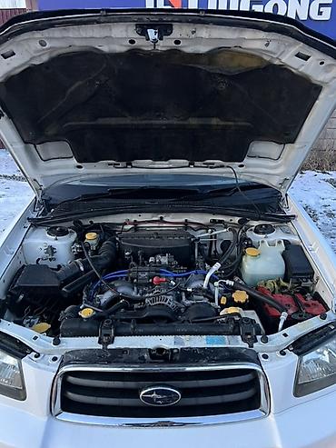 Subaru: Subaru Forester: 2003 г., 2 л, Автомат, Бензин, Универсал — 13