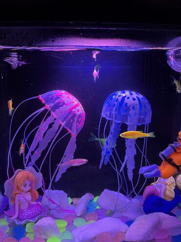купить маленький аквариум: Декор для аквариума с эффектом медуз и с разными подсветками