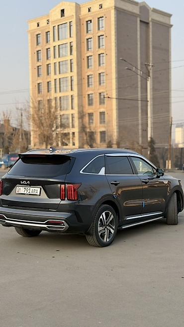 Kia: Kia Sorento: 2023 г., 1.6 л, Автомат, Гибрид, Кроссовер — 16