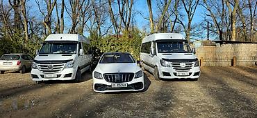 Пассажирский бус на заказ: Бус на заказ 
Спринтер Рекс на заказ 
Микроавтобус на заказ — 4
