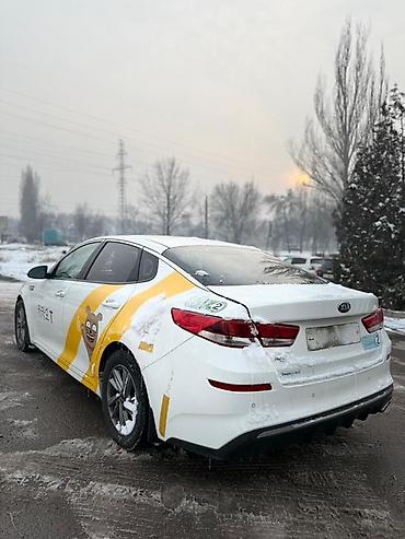 Kia: Kia K5: 2019 г., 2 л, Автомат, Бензин, Седан — 11