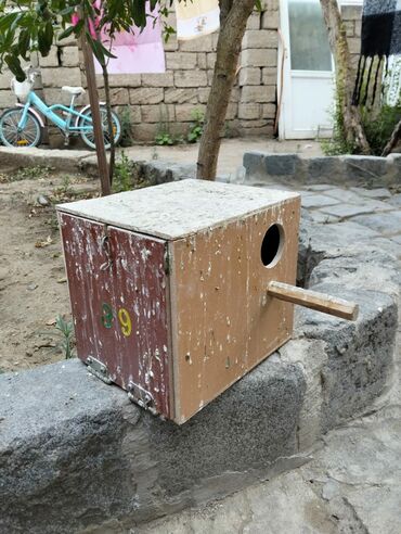 Yuvalar: Quş yuvalama qutuları və qəfəs aksesuarları Kerella yuva 7 eded 4 — 7
