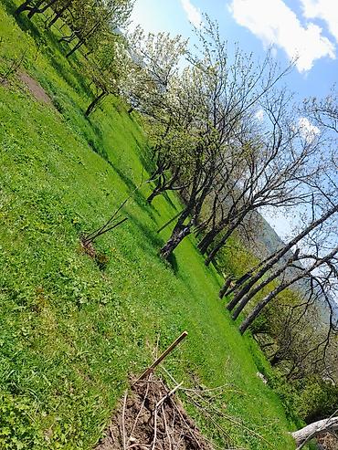 Həyət evi alıram: 200 kv. m, 5 otaqlı — 11