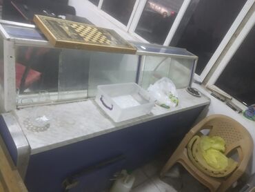 dondurma soyuducusu satilir in Azərbaycan | DƏRIN DONDURUCULAR: Vitrin soyuducusu zavadskoydu hecbir prablemi yoxdu sadece obyekt