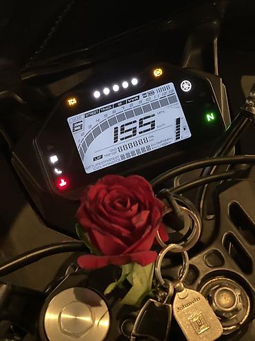 yamaha 40: Yamaha - R15, 150 sm3, 2022 il — 7