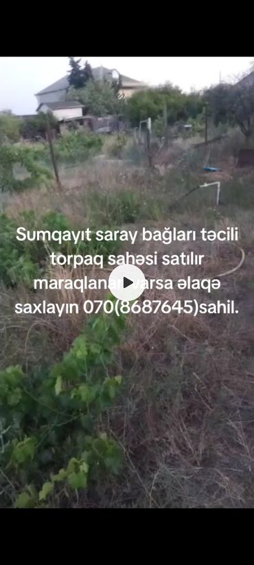 xacmazda torpaq sahesi satilir: 5 sot, Bələdiyyə