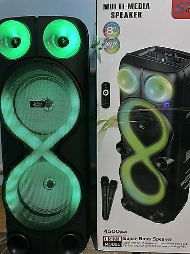 Динамики и колонки: Портативная акустическая система Sing-e ZQS1533 с подсветкой - — 4