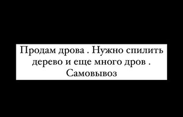 нужные вещи: Отун Өзү алып кетүү
