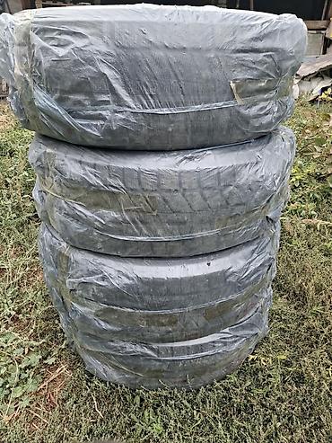 Шины 255 / 50 / R 20, Зима, Новый, Комплект, Легковые, Китай, Sailun