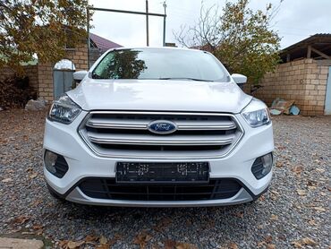 Ford: Ford Escape: 1.5 l | 2019 il 195400 km Ofrouder/SUV — 2