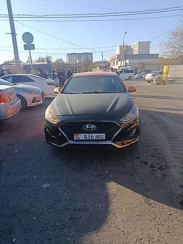 hyundai sonata 2014: Hyundai Sonata: 2019 г., 2 л, Автомат, Газ, Седан — 3