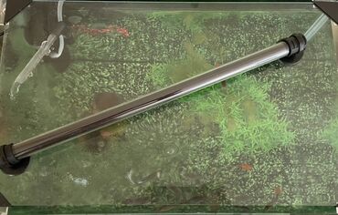 Gəmiricilər: Dördbucaq akvarium, Boş, 50 l, Ünvandan götürmə