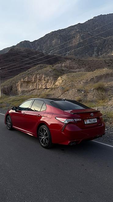 Toyota: Toyota Camry: 2024 г., 2.5 л, Автомат, Гибрид, Седан — 6