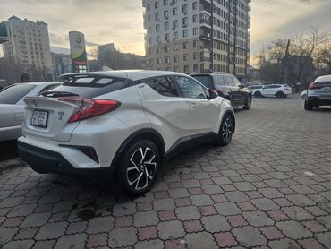 Toyota: Toyota C-HR: 2017 г., 2 л, Автомат, Бензин