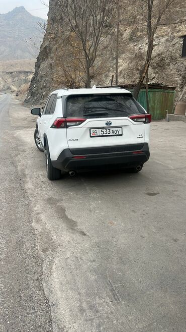 Toyota: Toyota RAV4: 2019 г., Гибрид, Кроссовер — 6