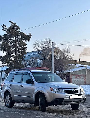 Subaru: Subaru Forester: 2010 г., 2.5 л, Автомат, Бензин, Кроссовер — 6