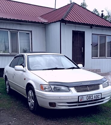 лошадь белая: Toyota Camry: 1998 г., 2.2 л, Автомат, Газ, Седан