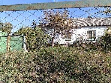 полтавка: Продаю дом в Полтавке 5.комнат.Есть хоз.постройки(гараж,сеновал,сараи — 2