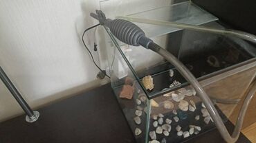речная форель: Аквариумный комплект для небольших рыб В состав входит: - Стеклянный