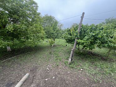 Torpaq sahələrinin satışı: 7 sot, Tikinti, Mülkiyyətçi, Kupça (Çıxarış) -da lalafo.az — 6 Torpaq sahələrinin satışı: 7 sot, Tikinti, Mülkiyyətçi, Kupça (Çıxarış) — 6