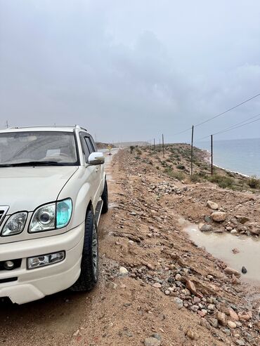 Трансфер, пассажирские перевозки: По региону Такси, легковое авто | 6 мест — 8