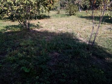Torpaq sahələrinin satışı: 10 sot -da lalafo.az — 5 Torpaq sahələrinin satışı: 10 sot — 5