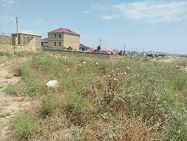samux rayon: 5 sot, Kupça (Çıxarış) — 3