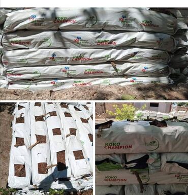 Kakabit: Kakabitler. COCO CHAMPION . Meşoku 40 qep. Meşokda 2 kq olur en azı -da lalafo.az — 8 Kakabit: Kakabitler. COCO CHAMPION . Meşoku 40 qep. Meşokda 2 kq olur en azı — 8