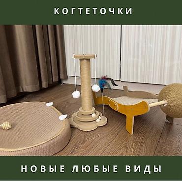 Зоотовары: 🐾 Когтеточки для кошек с игрушками — стильная и удобная! 🔋Цены — 1