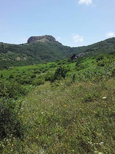 bal satisi: Astara Dağ Balı Satılır. Təmiz Və Keyfiyətli Pesok Qatılmayıb — 6