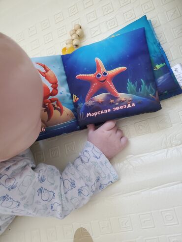 Игрушки: Распродажа новых мягких детских книжек. Не шуршат. Есть грызунок at lalafo.kg — 17 Игрушки: Распродажа новых мягких детских книжек. Не шуршат. Есть грызунок — 17
