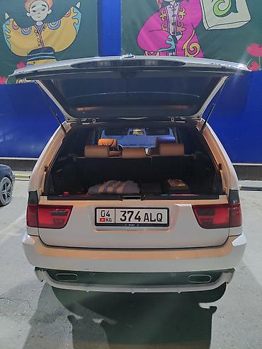 вдоль реки: BMW X5: 2005 г., 4.8 л, Автомат, Бензин, Кроссовер — 6