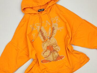 chaos koszulki: Women`s hoodie, size 5XL