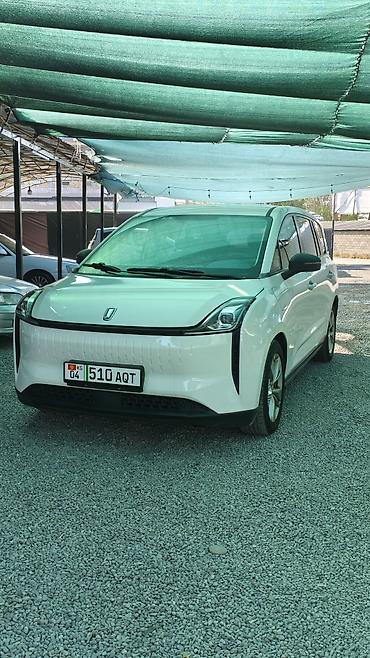 туманик 210: FAW : 2023 г., Автомат, Электромобиль, Минивэн — 1