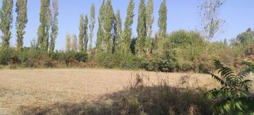 продажа дом село красная речка: 11 соток, Курулуш, Сатып алуу-сатуу келишими, Кызыл китеп