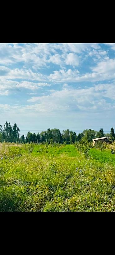 дома сосновка: 12 соток, Для строительства, Красная книга — 3